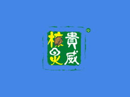 吉林省核靈食品代理商江女士 深耕吉林市場，共拓健康食品新篇章
